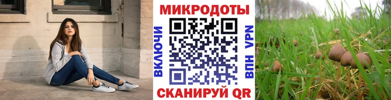Галлюциногенные грибы Cubensis Нестеровская